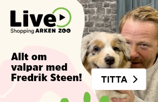 Live Shopping med Fredrik Steen 
